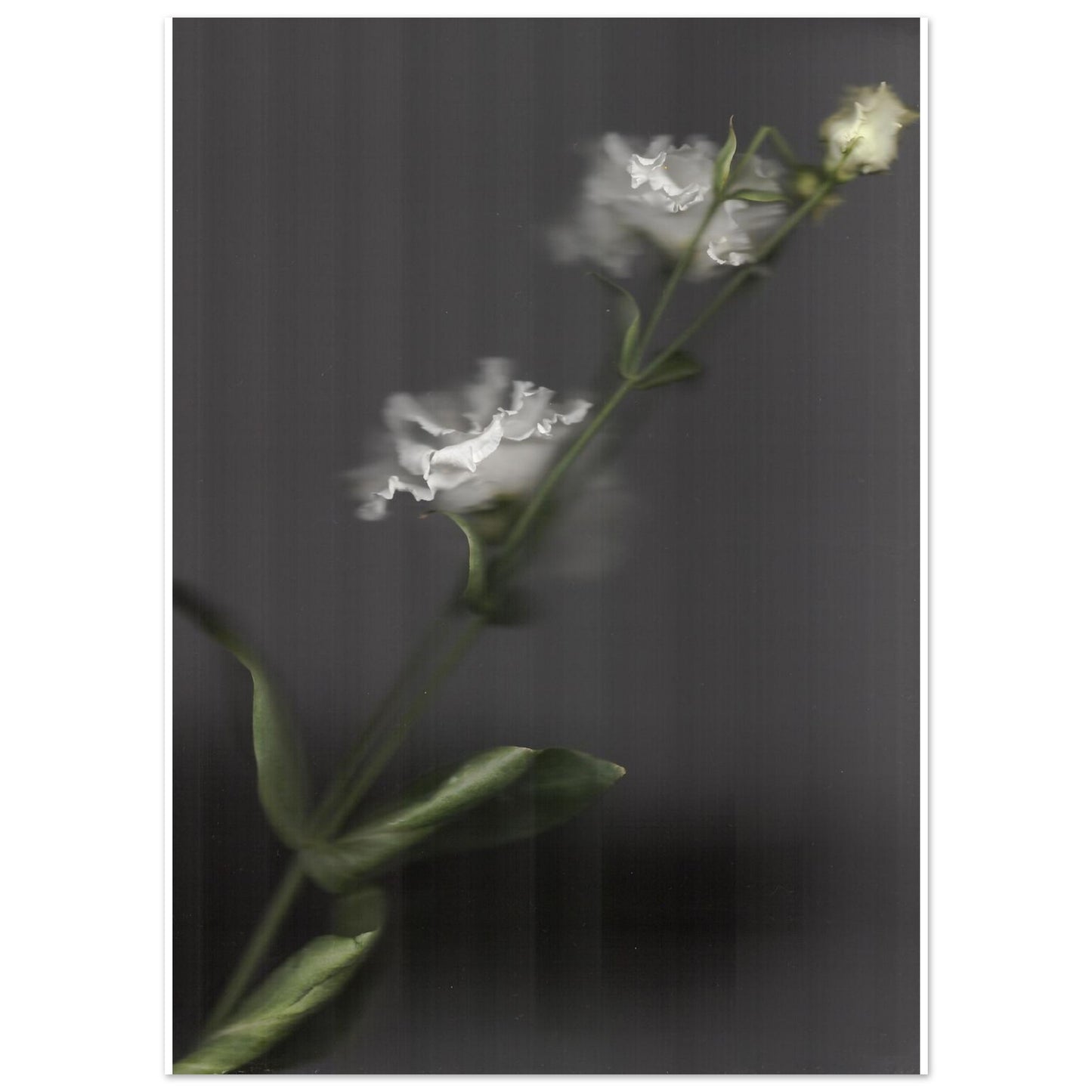 413b2e21-718b-428b-b979-c797da2dda40