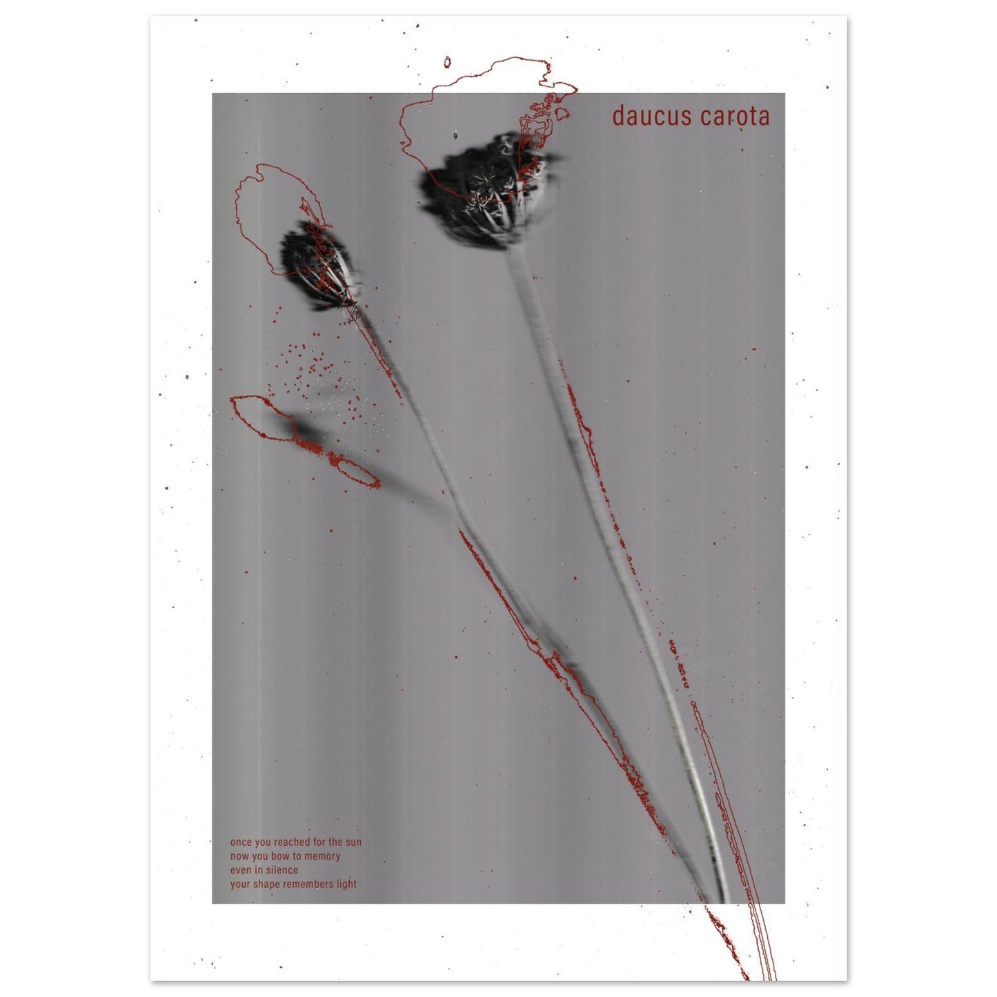 c81f2071-aacf-46b9-916e-437fe1c6a874