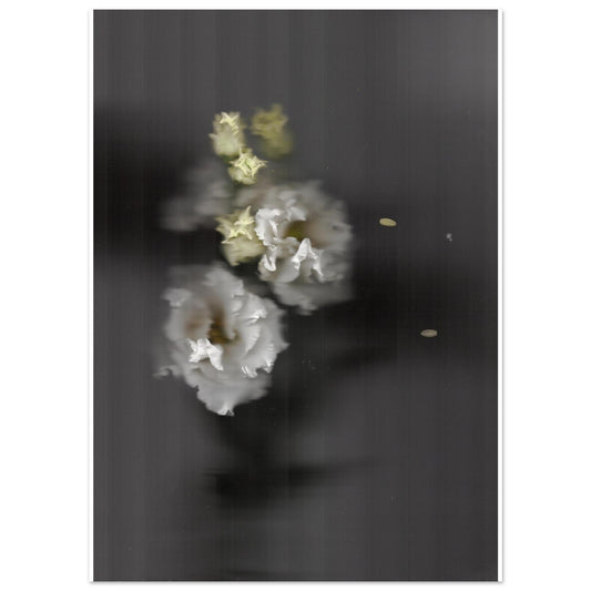 0d537af2-5f39-47be-9194-a3251ce4772a