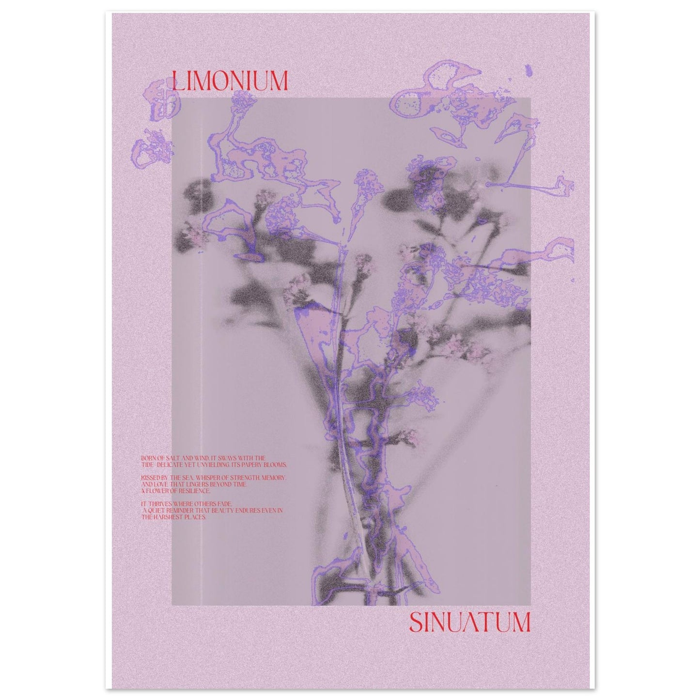 30c3ddc9-c20b-4538-9e44-12a2acb2e44b