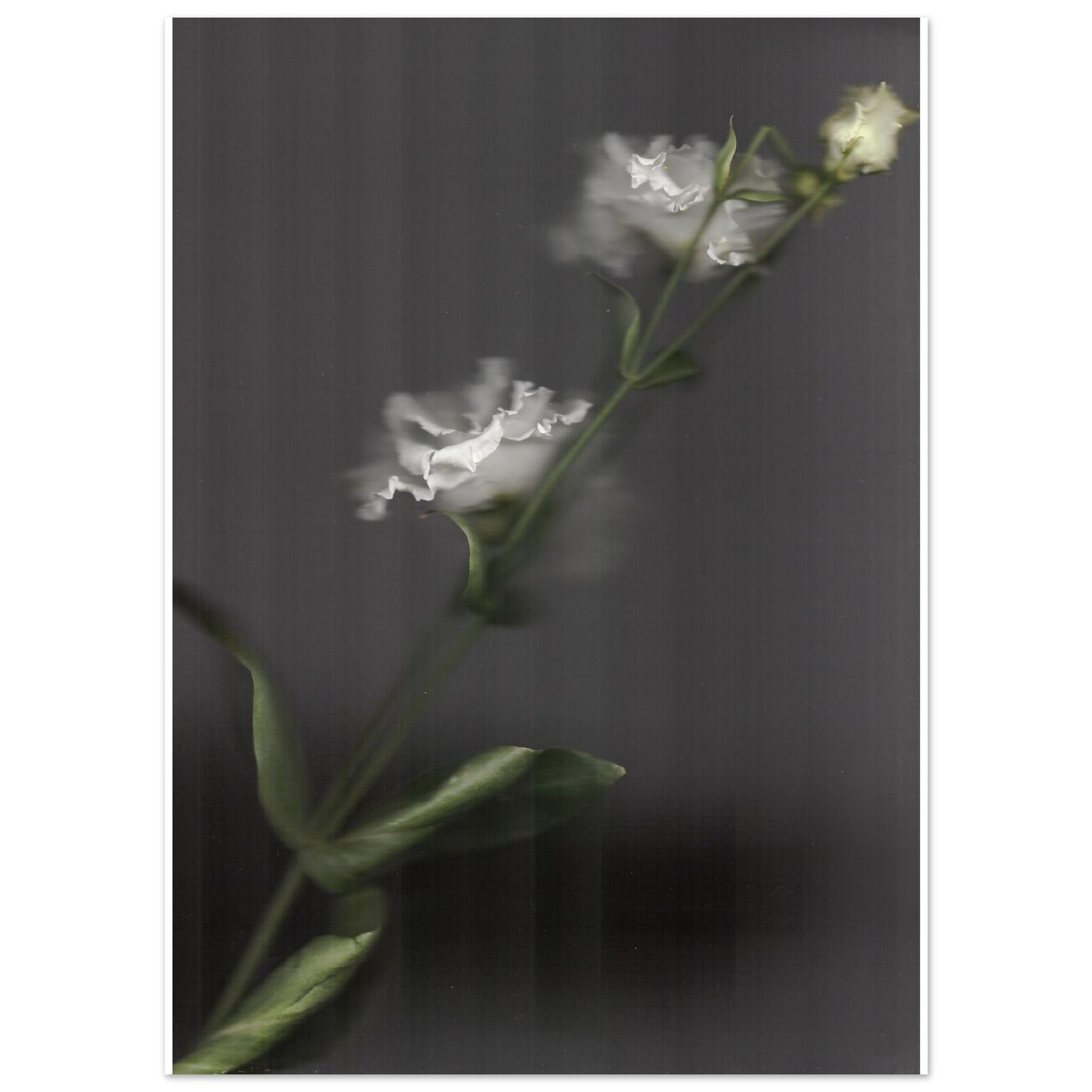 413b2e21-718b-428b-b979-c797da2dda40