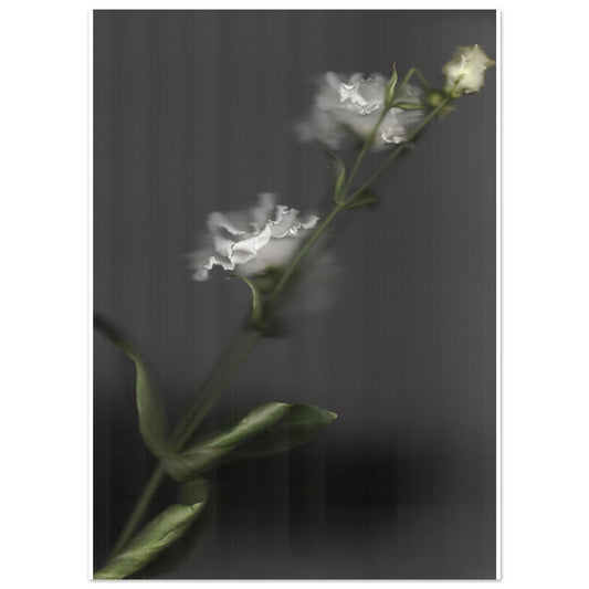 413b2e21-718b-428b-b979-c797da2dda40