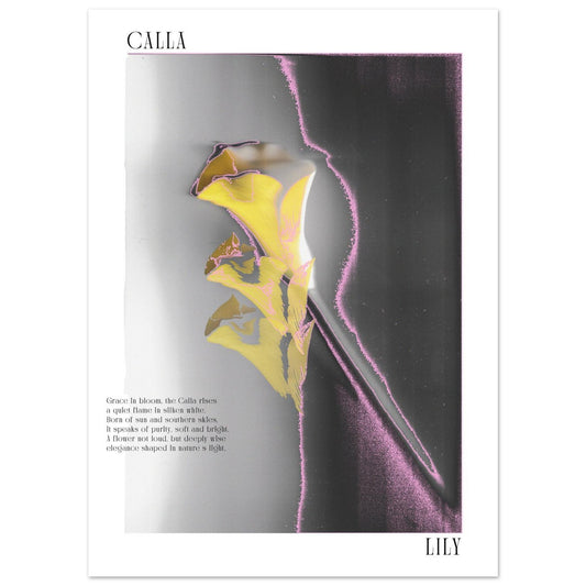 71d9264a-8a4f-48b3-8e37-2e21cefeac09