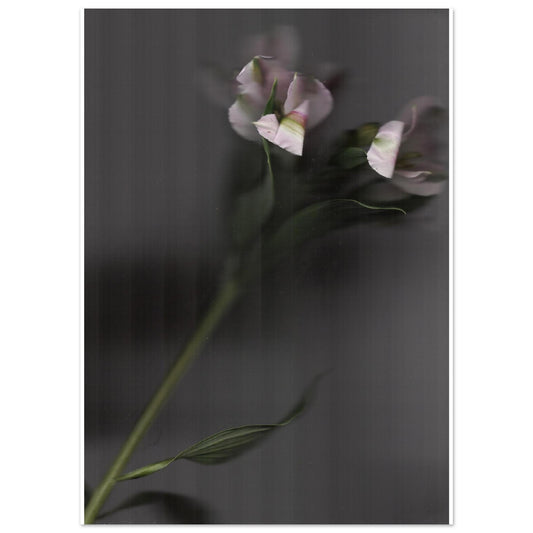 984450d8-d2c9-4a9f-abf5-aa06bfb2a009