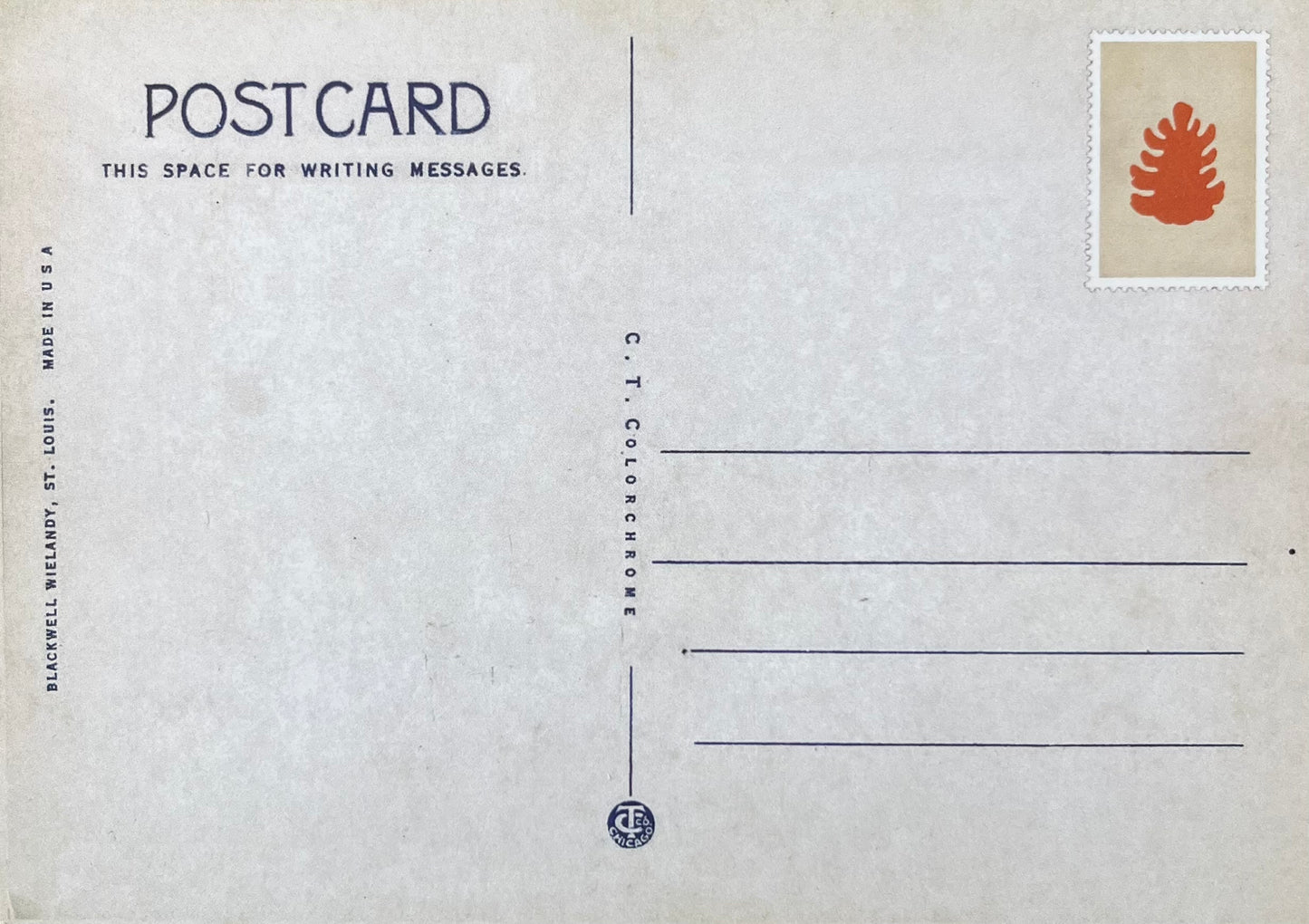 Nadelwald - Postkarte