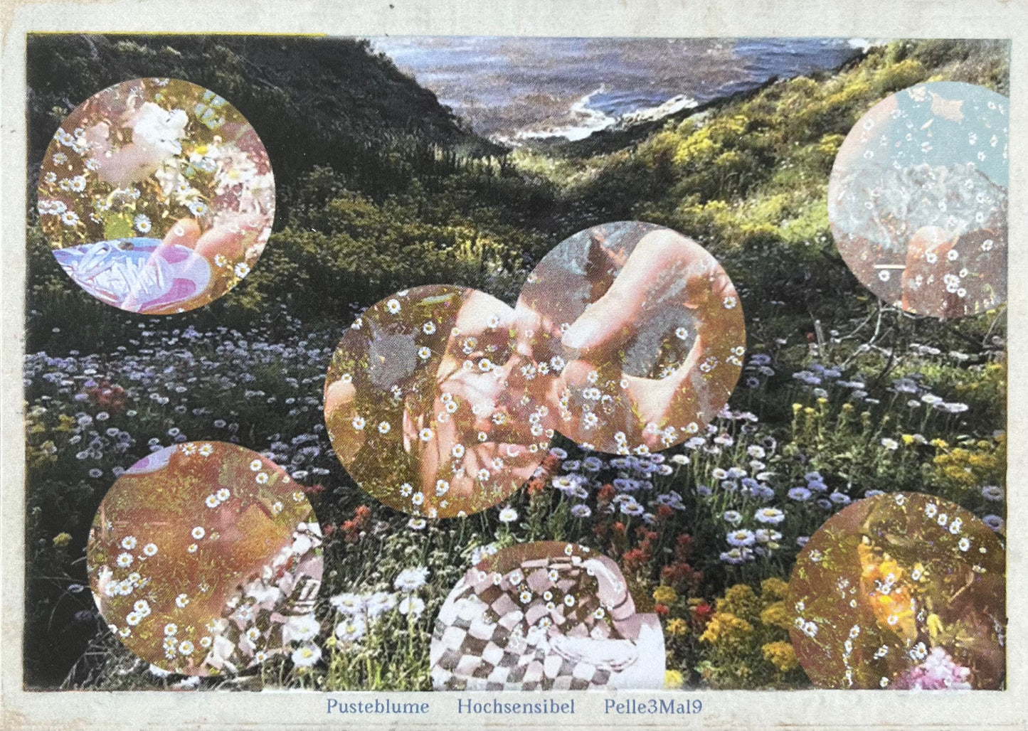 Pusteblume - Postkarte