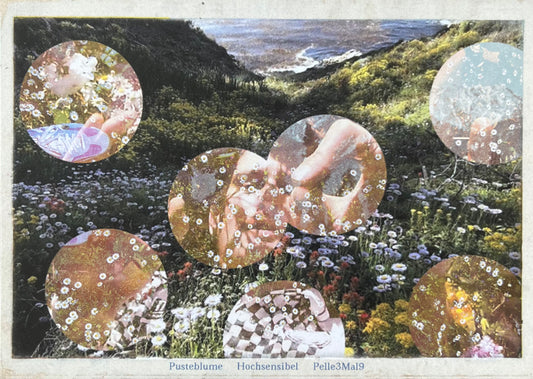 Pusteblume - Postkarte