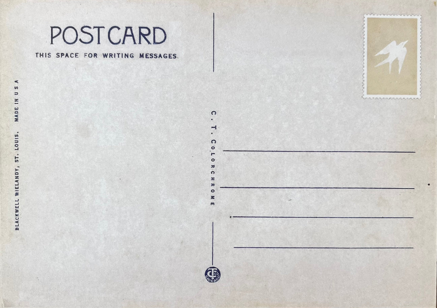 Pusteblume - Postkarte