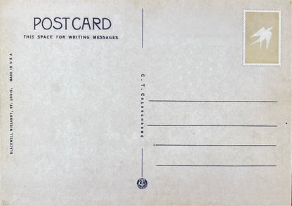 Pusteblume - Postkarte