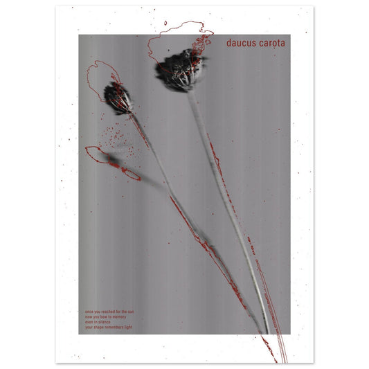 c81f2071-aacf-46b9-916e-437fe1c6a874