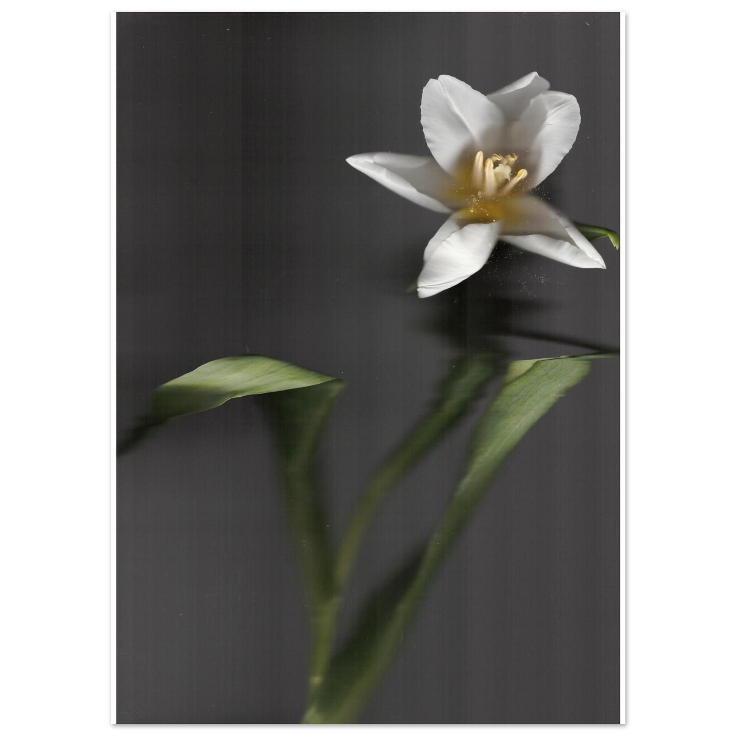 ebe649be-c4f3-435a-a231-ebb87af9a48d